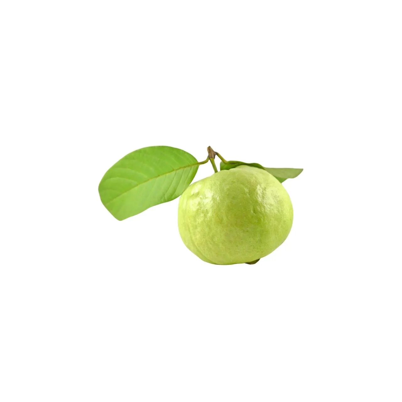 Guava