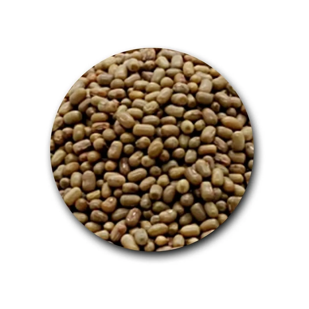 Moth Bean | Matki |  500g